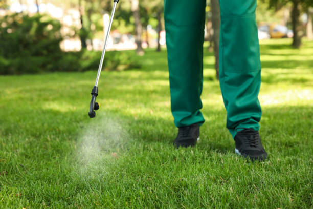 Best Best Pest Control Companies  in Grove Hill, AL