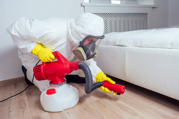 Best Affordable Pest Control Services  in Grove Hill, AL