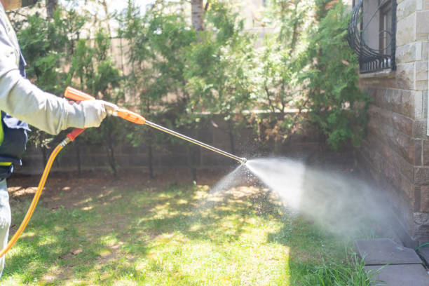 Best Flea Control Services  in Grove Hill, AL