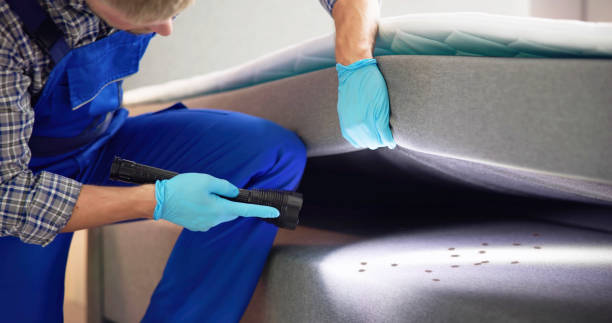 Best Wasp Removal Services  in Grove Hill, AL