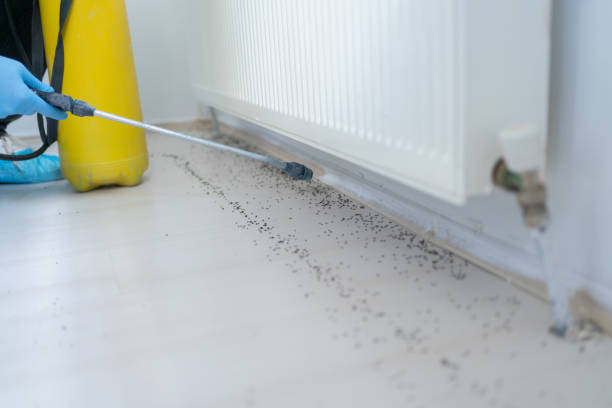 Best Pest Removal Services  in Grove Hill, AL