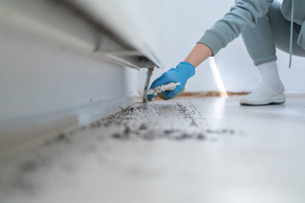 Best Residential Pest Control  in Grove Hill, AL